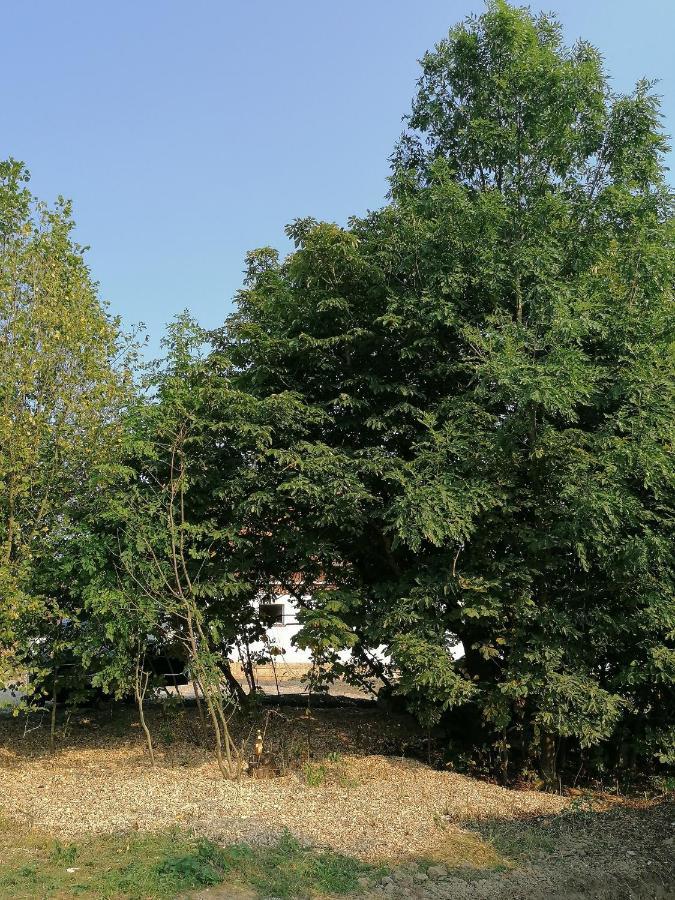 Camping Weides Küps Esterno foto